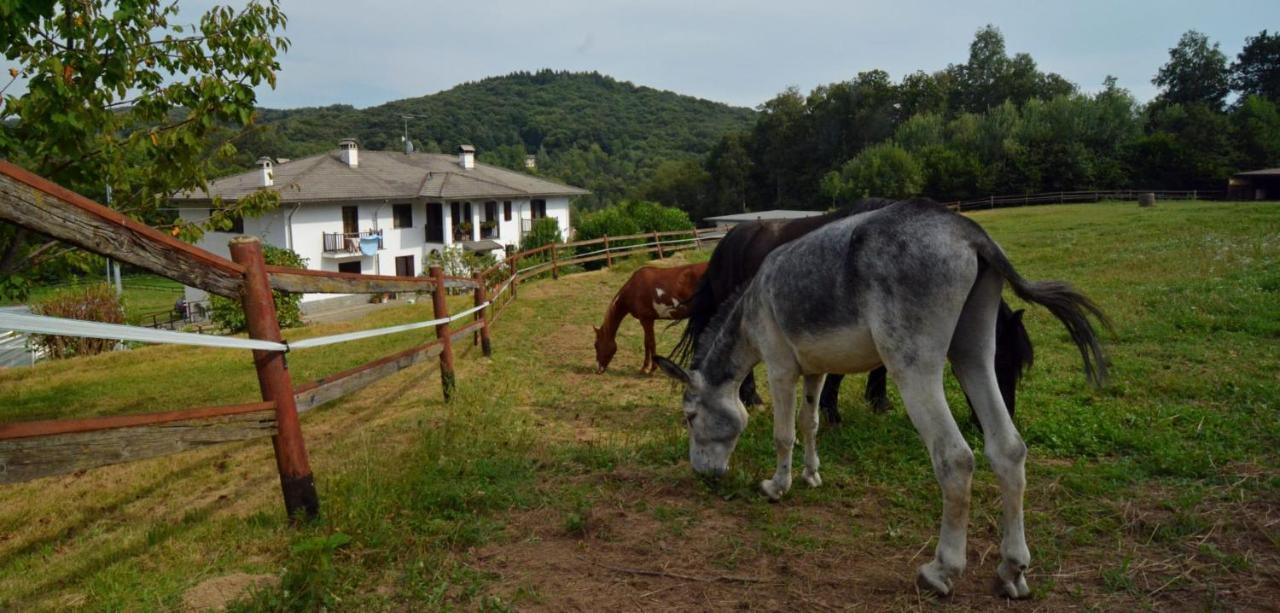 Favetto Family Ranch Bed and Breakfast Rueglio Buitenkant foto