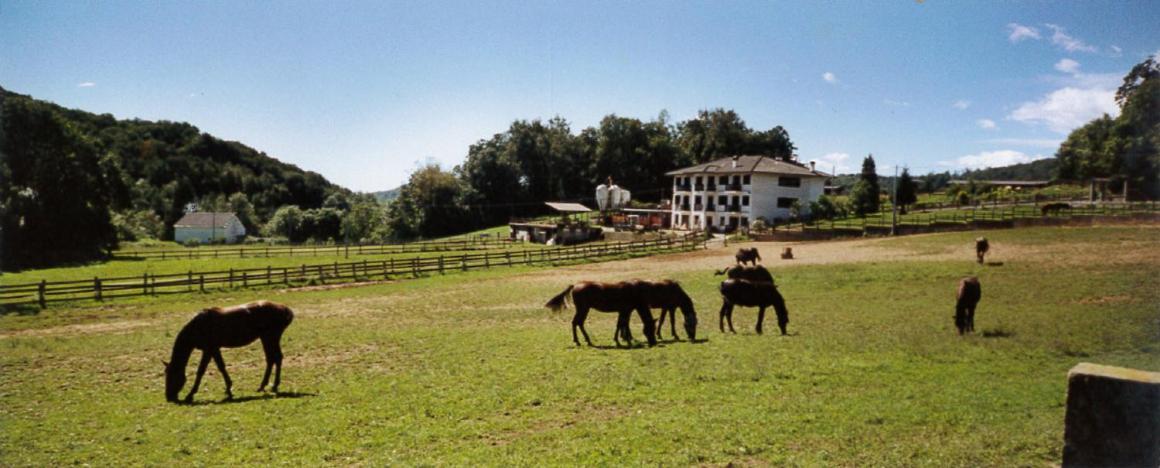 Favetto Family Ranch Bed and Breakfast Rueglio Buitenkant foto