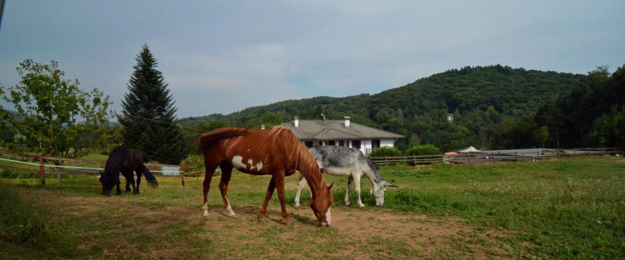 Favetto Family Ranch Bed and Breakfast Rueglio Buitenkant foto