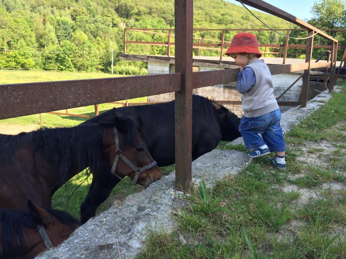 Favetto Family Ranch Bed and Breakfast Rueglio Buitenkant foto